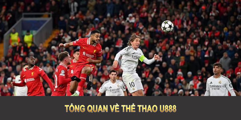 Tổng quan về thể thao U888 giúp bạn hiểu rõ giá trị sân chơi