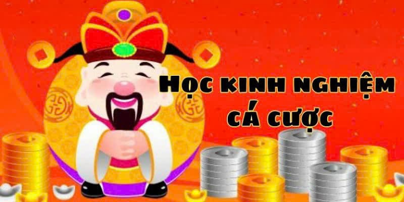 Học hỏi kinh nghiệm cá cược từ cao thủ