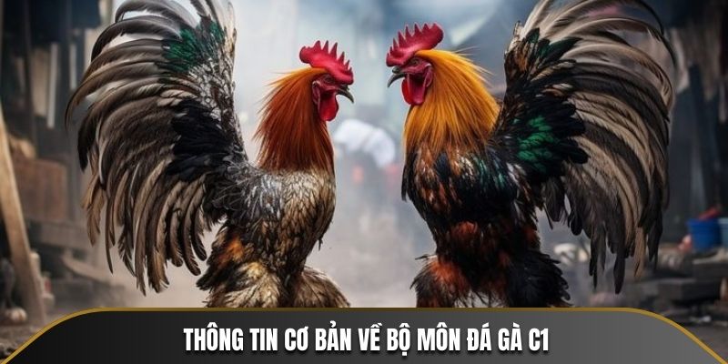 Thông tin cơ bản về bộ môn đá gà C1