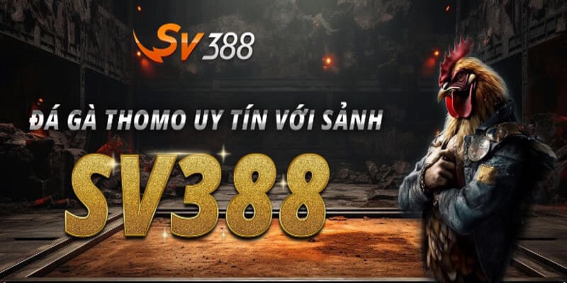 Trải Nghiệm Đỉnh Cao Cùng Sv 388 - Sân Chơi Hấp Dẫn